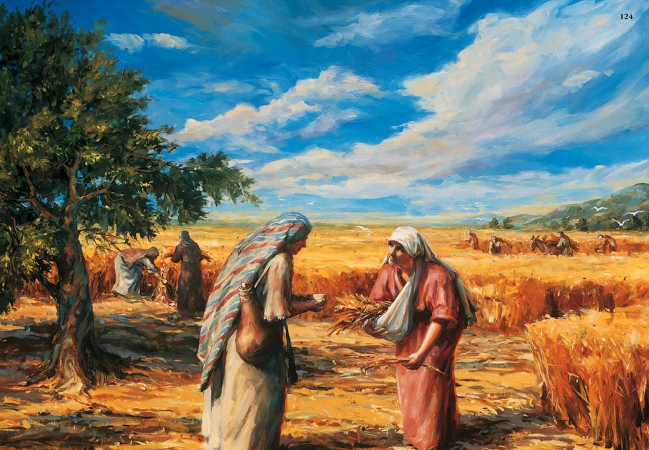 picture-scriptures-ruth-gleaning-in-the-fields